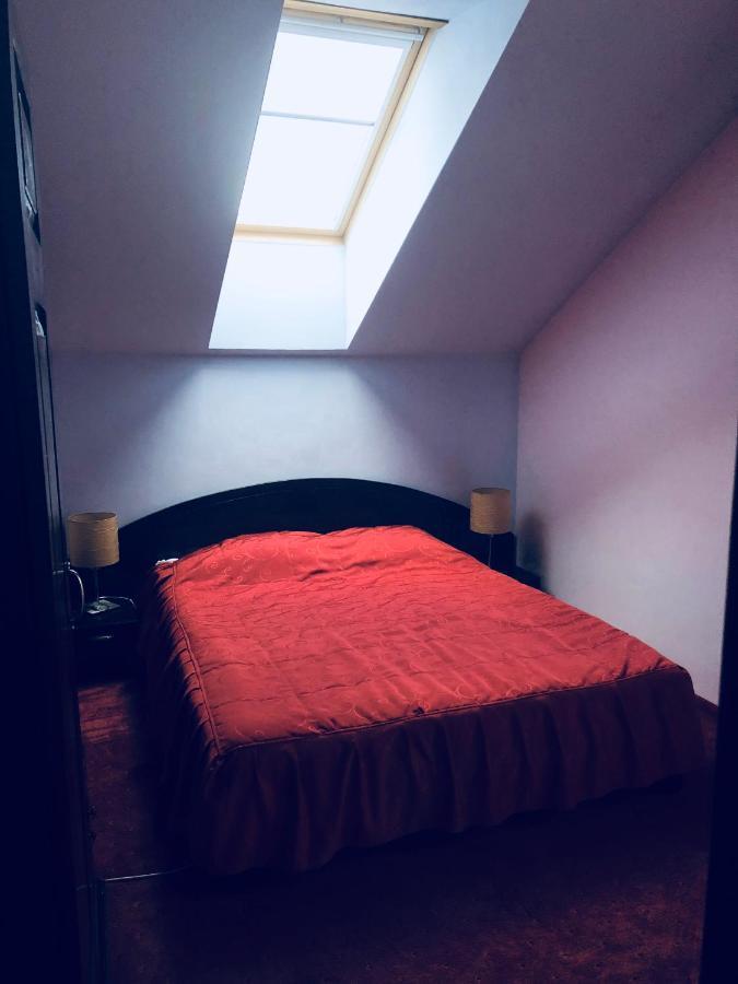 Pensiunea Casa Ancutei ルンカ エクステリア 写真