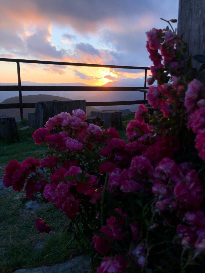Pensiunea Casa Ancutei ルンカ エクステリア 写真