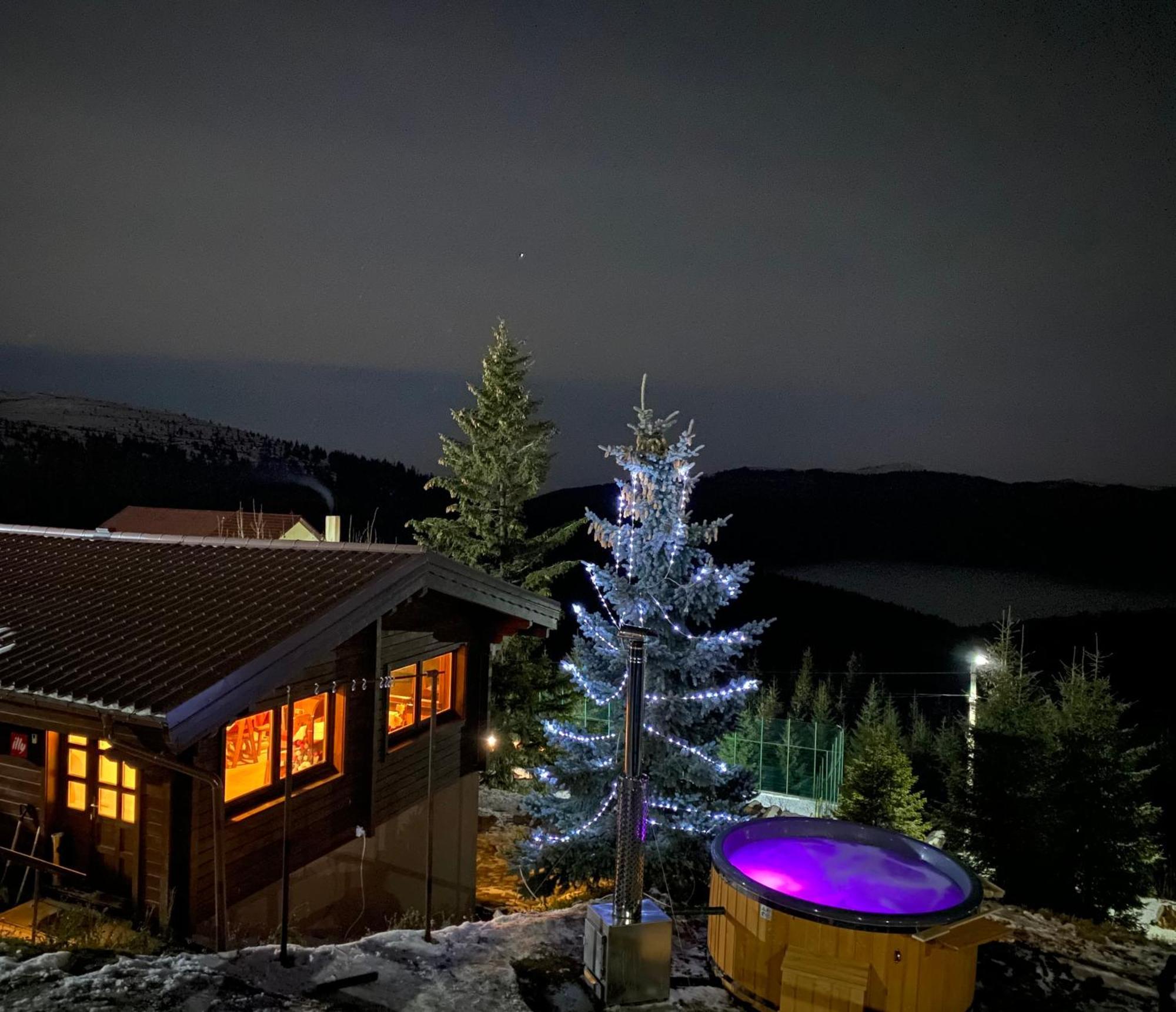 Pensiunea Casa Ancutei ルンカ エクステリア 写真
